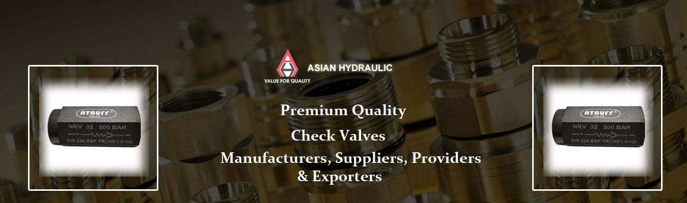 Check Valves