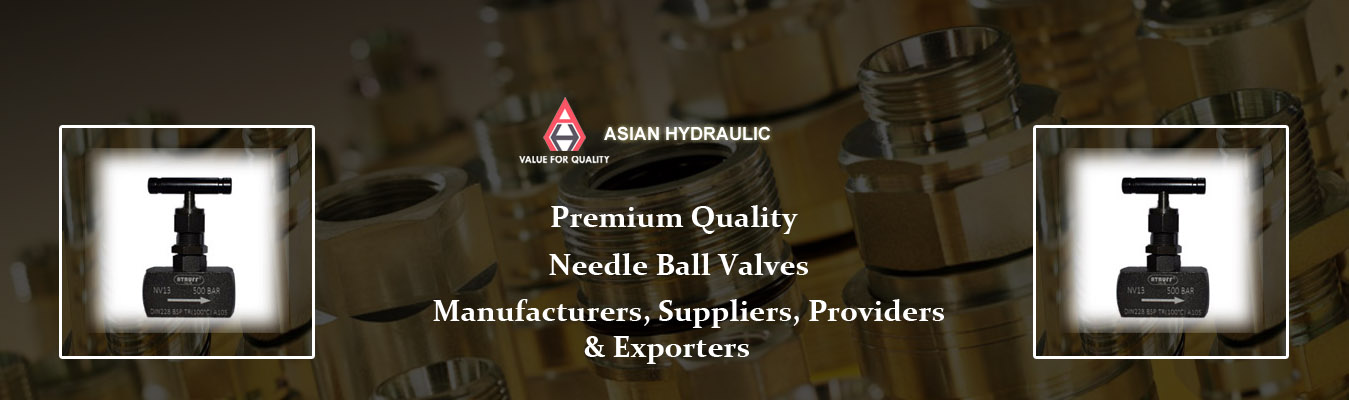 Needle Ball Valves