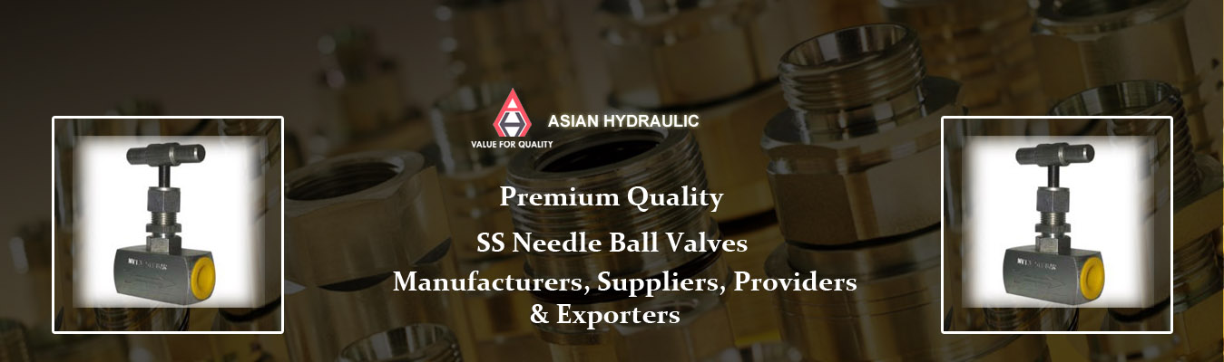 SS Needle Ball Valves